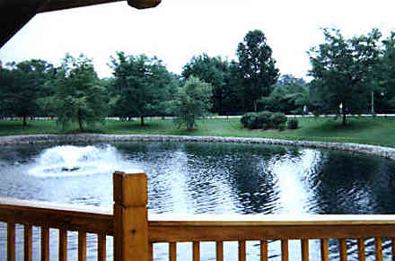 Photo of grounds