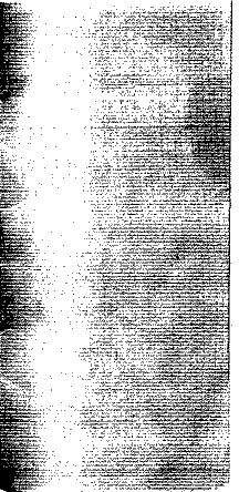 GIF Image